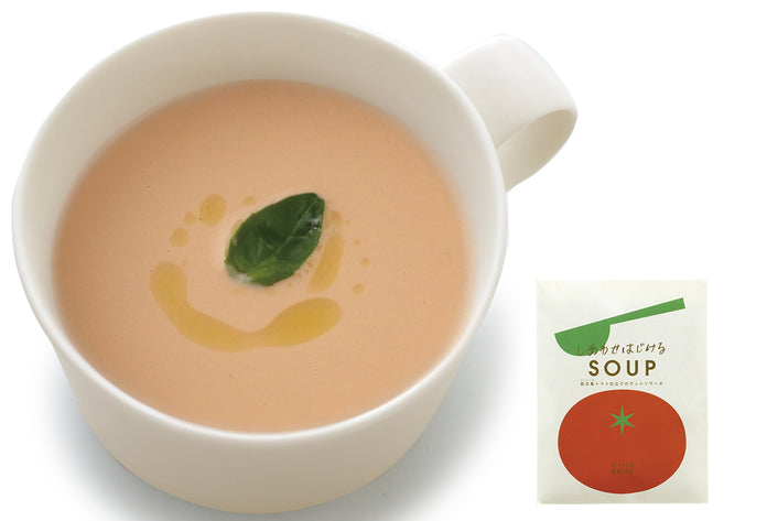 【箱入り】夏がやってくるスープ10食ギフト