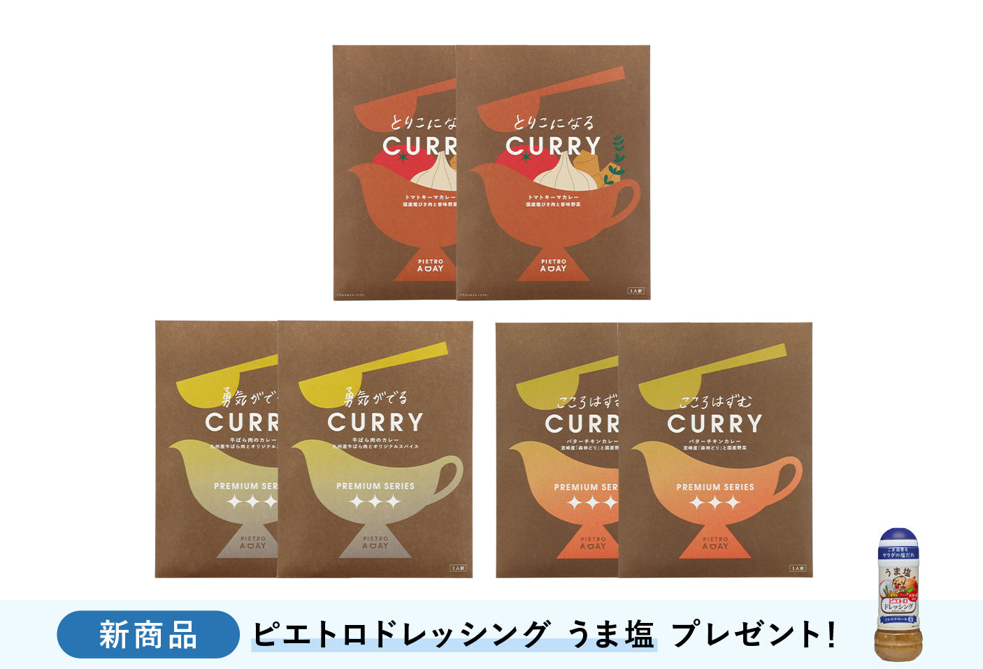 春の本格カレー6食セット