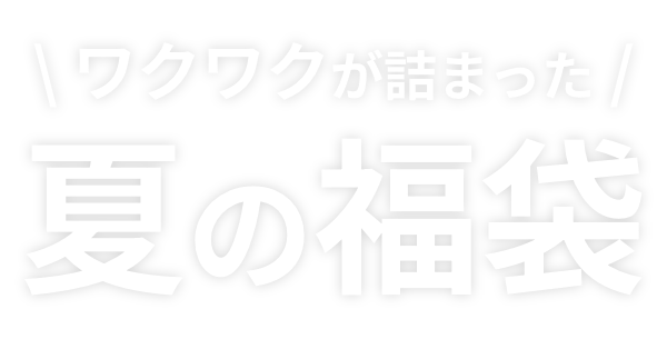 \ ワクワクが詰まった /夏の福袋